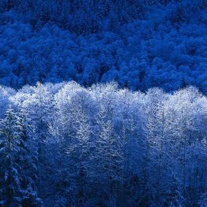 Meet your Posher, Keisha